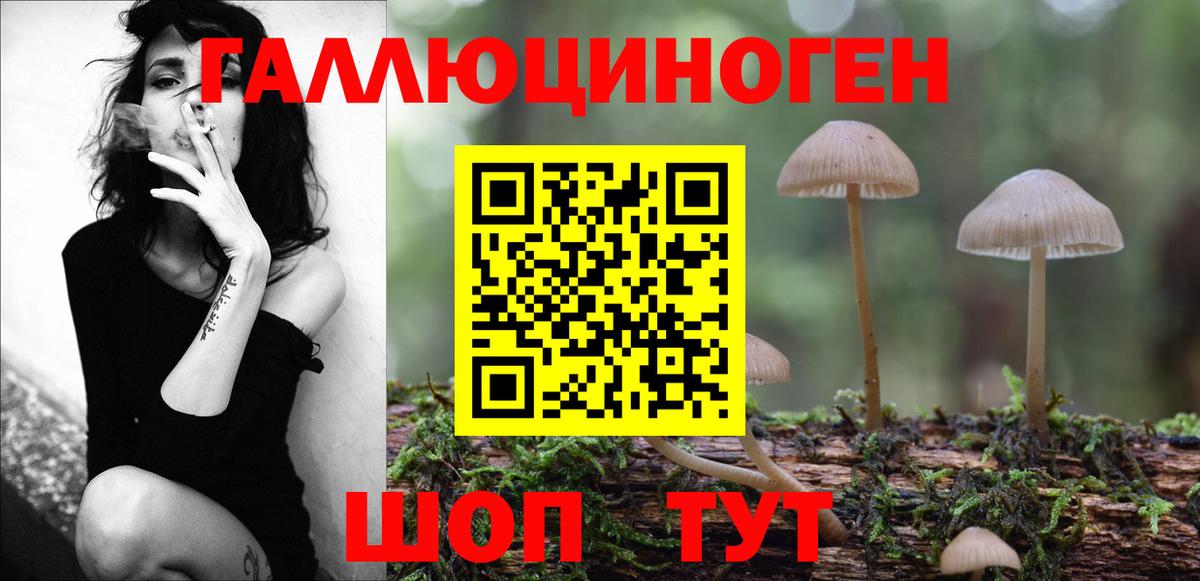 Галлюциногенные грибы Psilocybe  Псилоцибиновые грибы прущие грибы  Троицк  закладки  Вход с VPN 